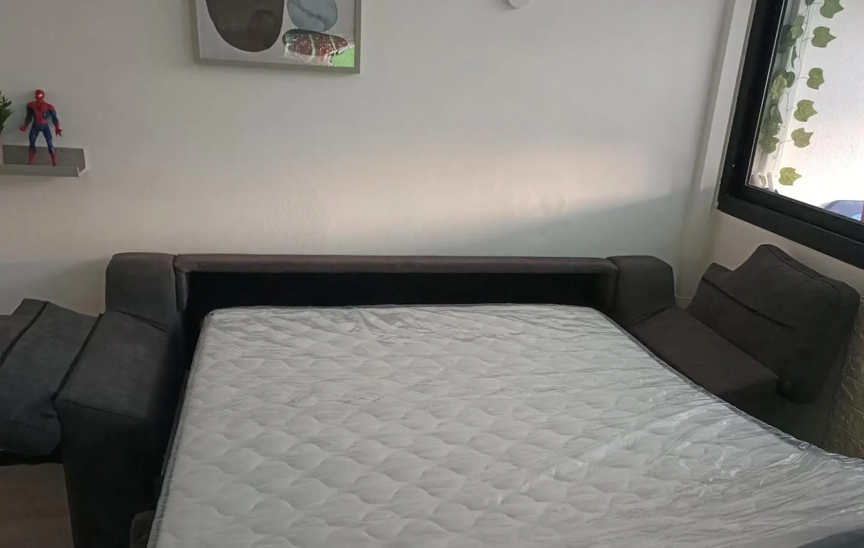 Estudio Taupe Matalascanas